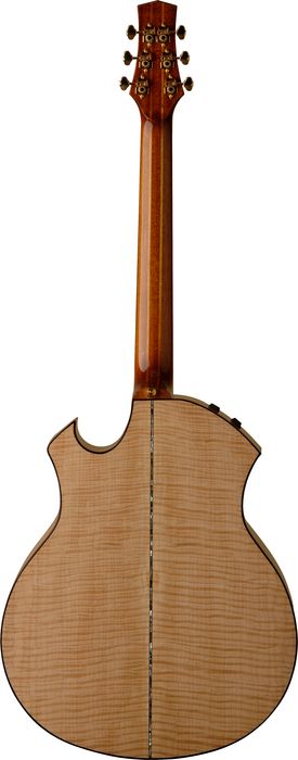 Parker P8 EN Back - Flamed Maple with Rosewood Binding