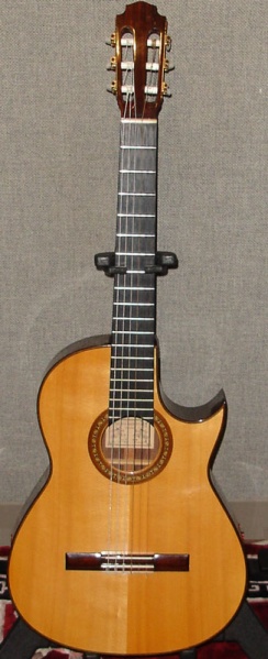 File:Larrivee Classical Front.jpg