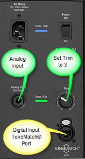 L1 Model II inputs