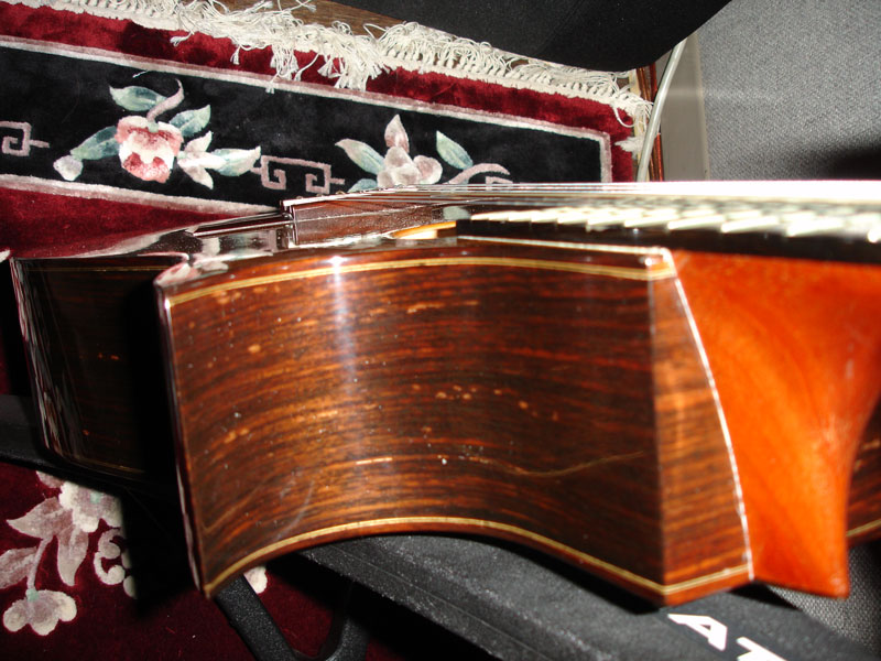 Larrivee Classical Cutaway Top.jpg