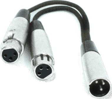 Two Female to Male XLR