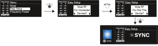 SR IEM Menu Easy-Setup.png