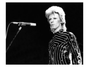 MD 441 Bowie.jpg