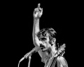 MD 441 Frank Zappa.jpg