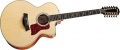 Taylor655.jpg