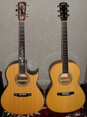 ST's Larrivee C10 bz - 30th Anniversary and LS-05